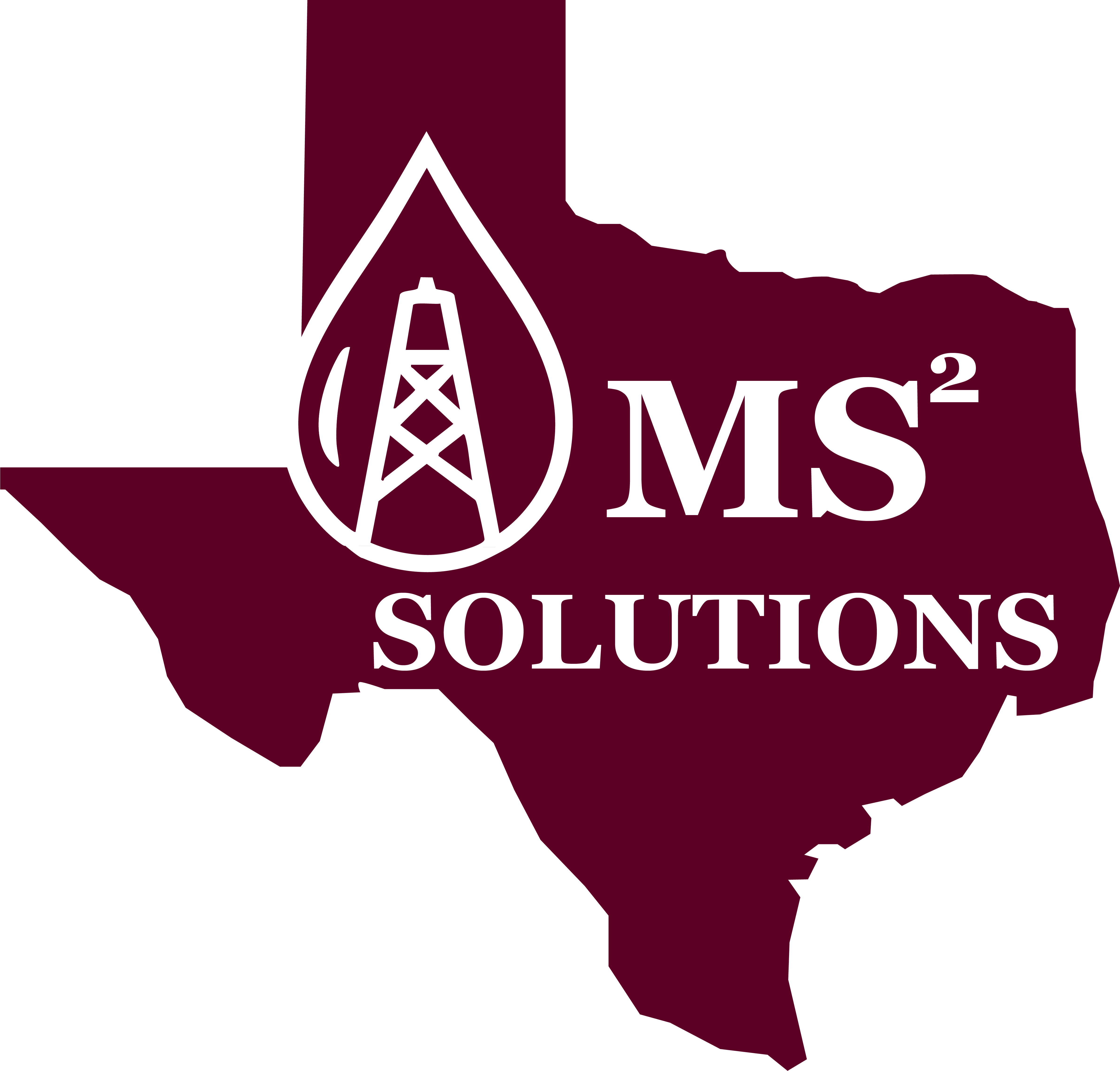 MS2 Solutions Logo
